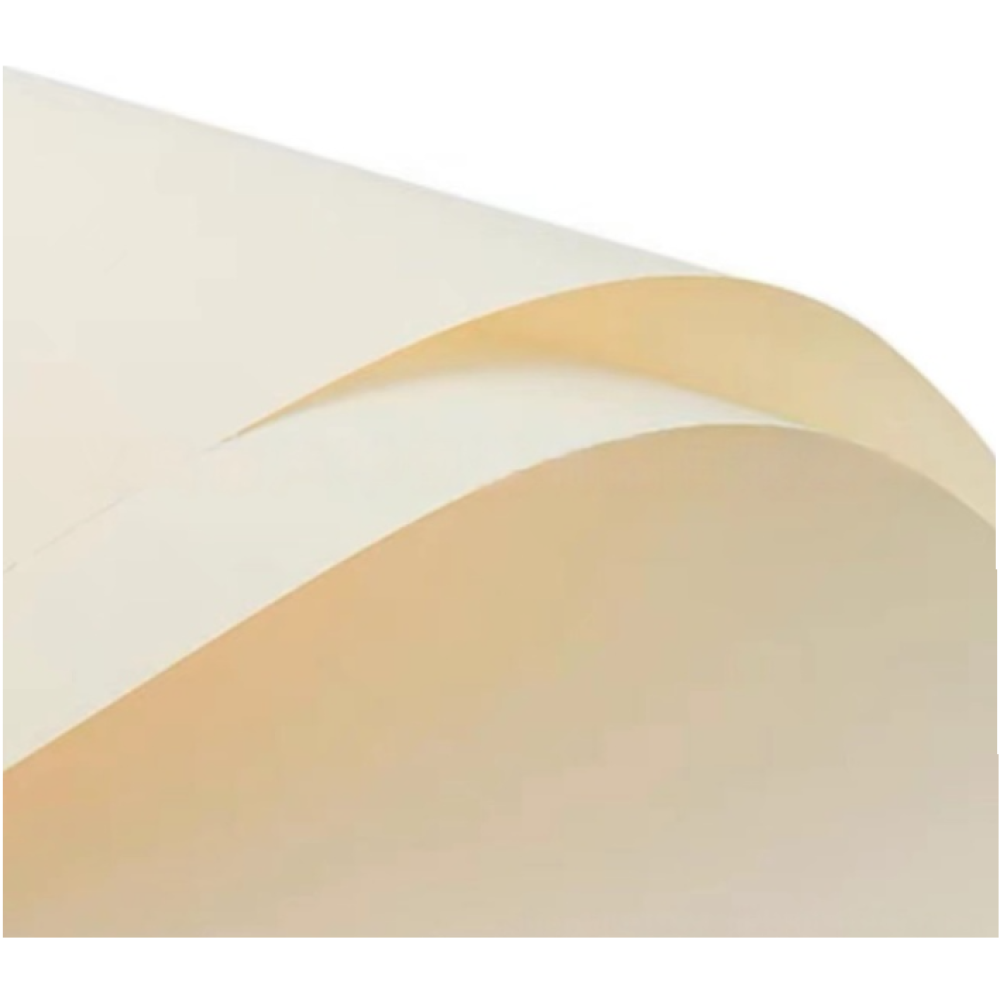 Florist Paper Cream Pack 20